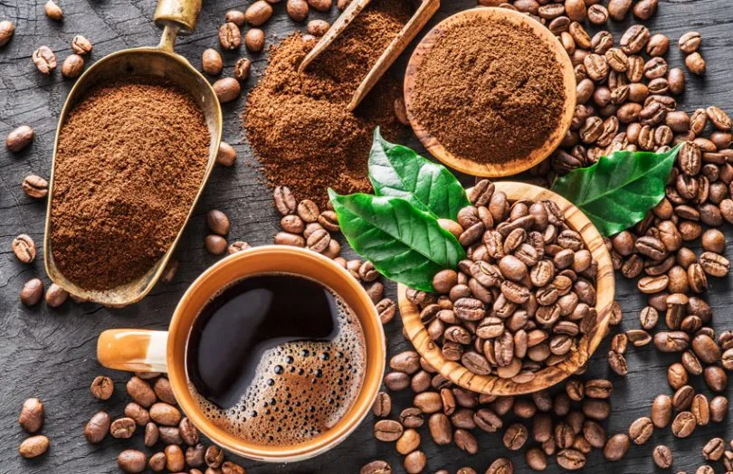 enzyme coffee for weight loss